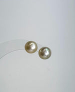 Genuine saltwater South Sea golden pearl earrings in S925 sterling silver