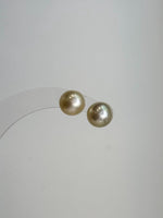 Luxury South Sea champagne gold pearl stud earrings gift for her