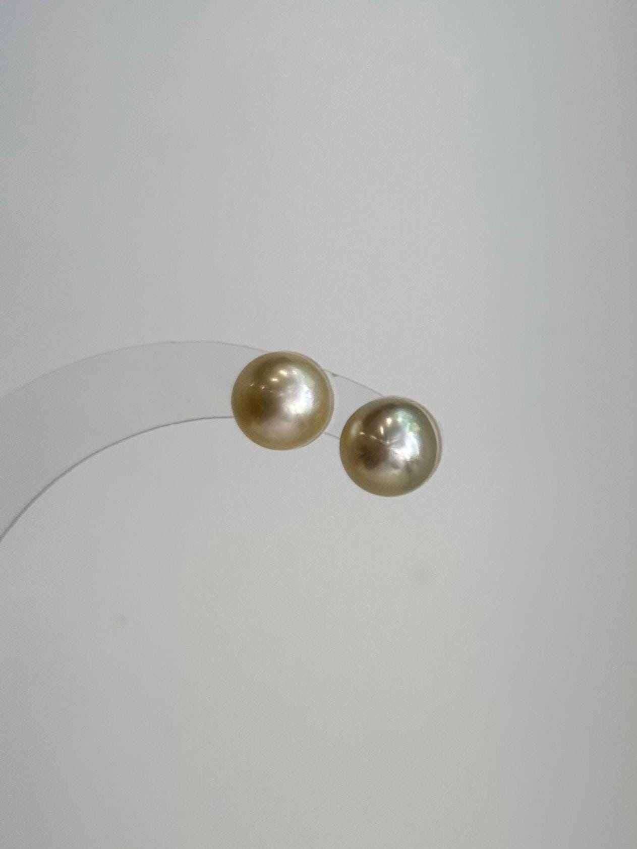 Luxury South Sea champagne gold pearl stud earrings gift for her
