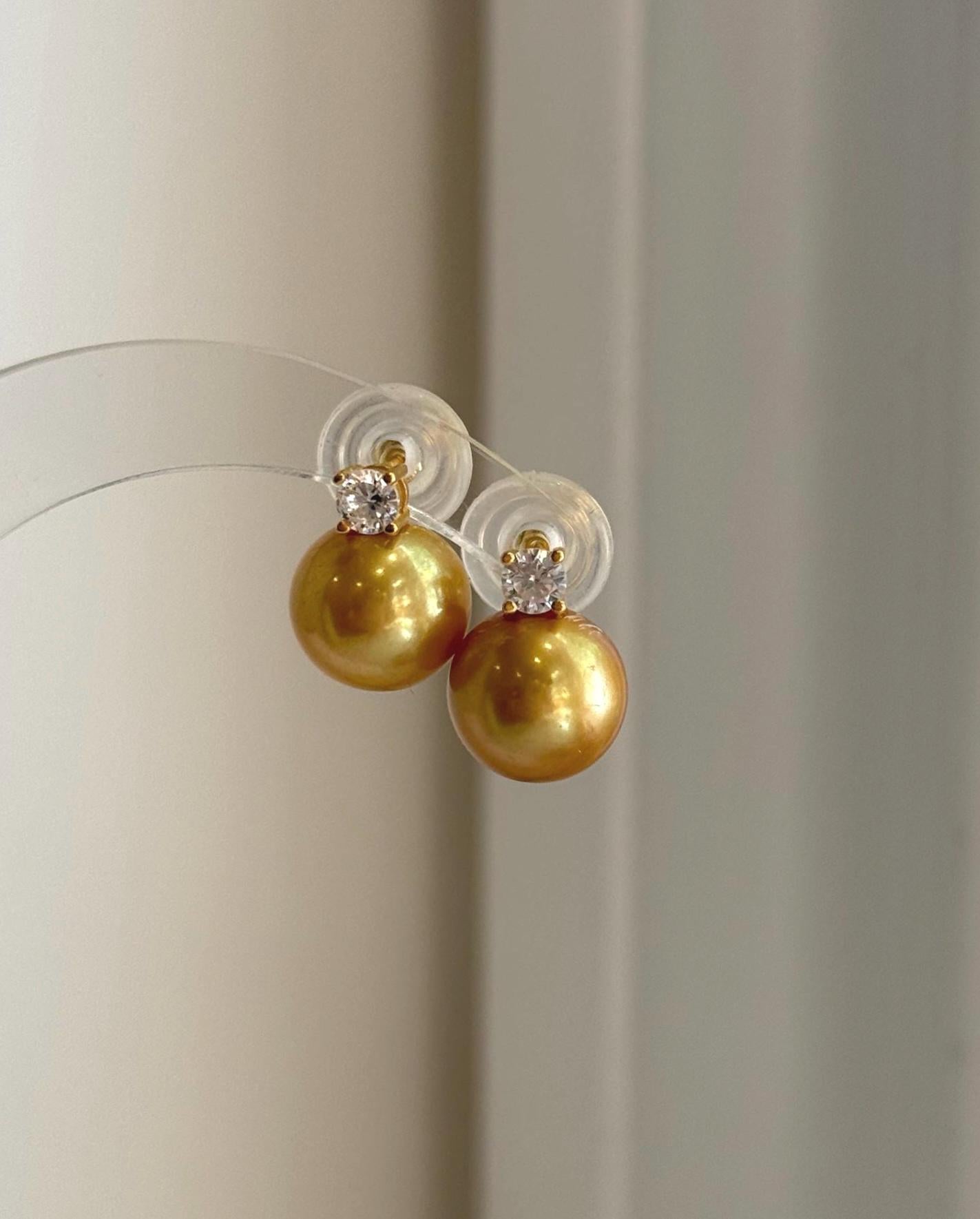 Elly’s 11.3mm Edison golden freshwater pearl stud earrings with extreme mirror luster and S925 sterling silver.