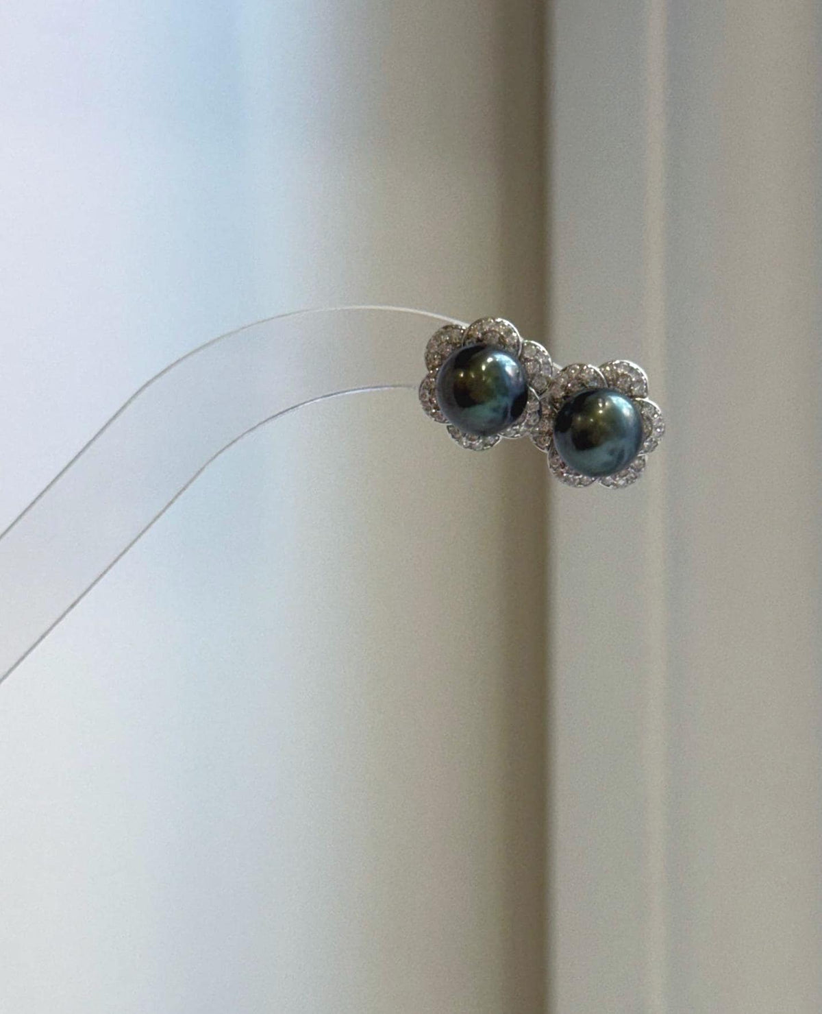 Close-up of Tahitian hunter pearl earrings showing beautiful green overtones, smooth surface and strong mirror luster.