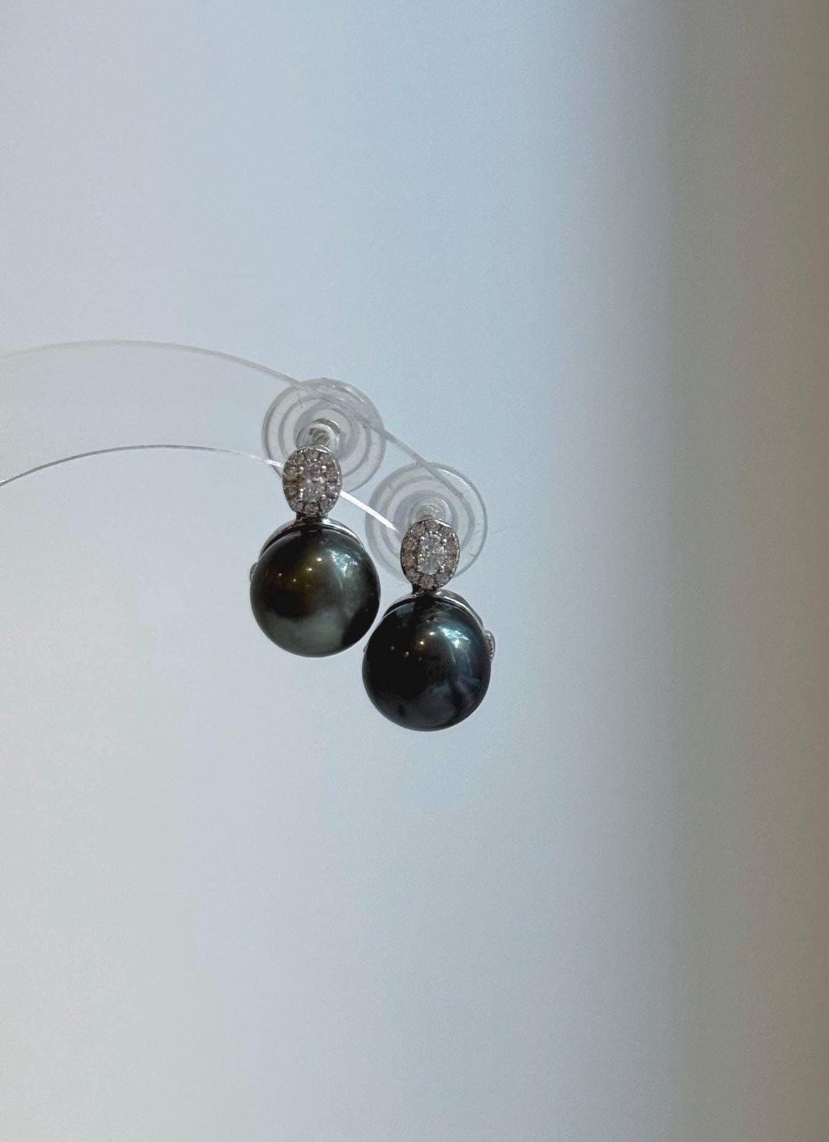 Genuine saltwater Tahitian pearl earrings with rich black hunter color