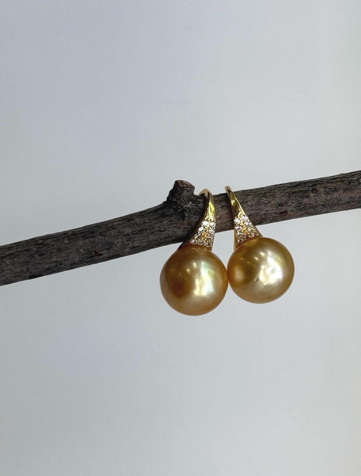 South Sea deep golden pearl hook earrings with brilliant mirror-like luster and elegant sterling silver settings.