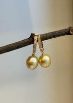 Golden South Sea pearl earrings photographed to show their shape and surface.