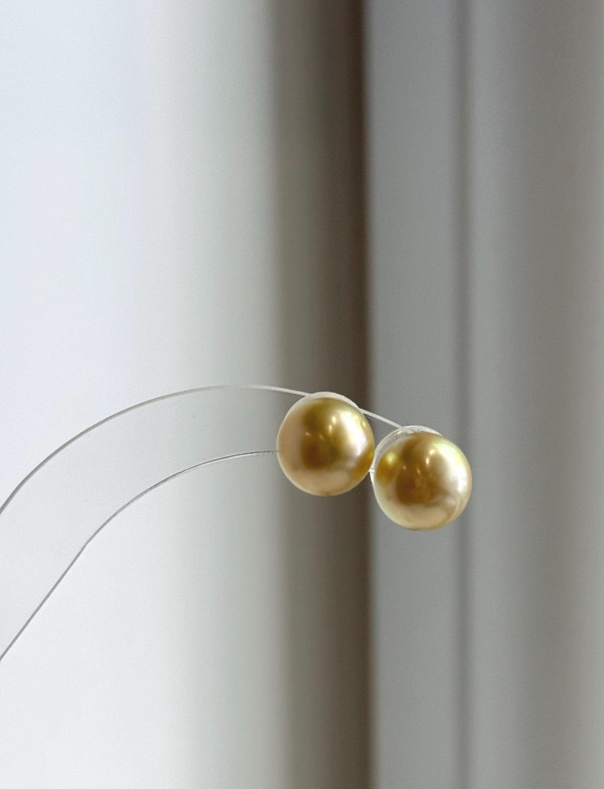 Deep tea gold South Sea pearl studs in S925 sterling silver.