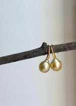 South Sea pearl drop earrings with warm champagne gold tones.