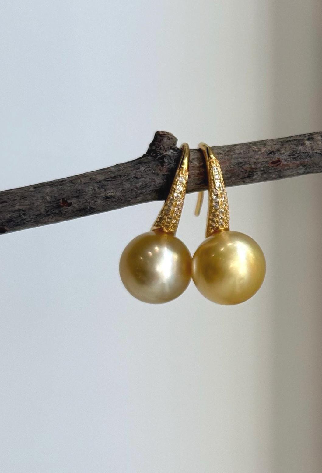 Golden South Sea pearl drop earrings with mirror luster and sculptural silver hooks.
