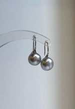 Tahitian saltwater pearl earrings with curved silver hooks