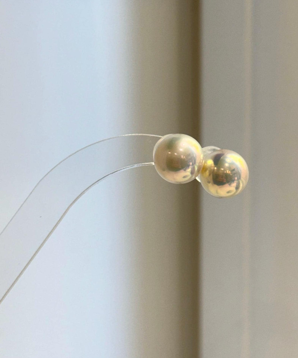 Genuine freshwater pearl stud earrings with a champagne gold color
