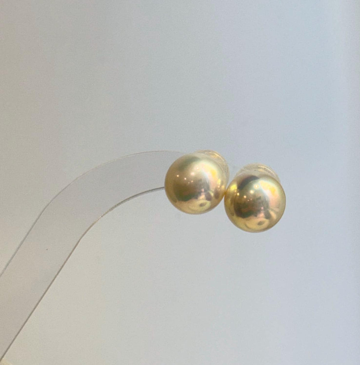Golden Edison freshwater pearl earrings in a classic stud style