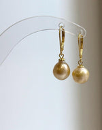 Rounded champagne pearls with bright reflections and slender gold-tone hooks.