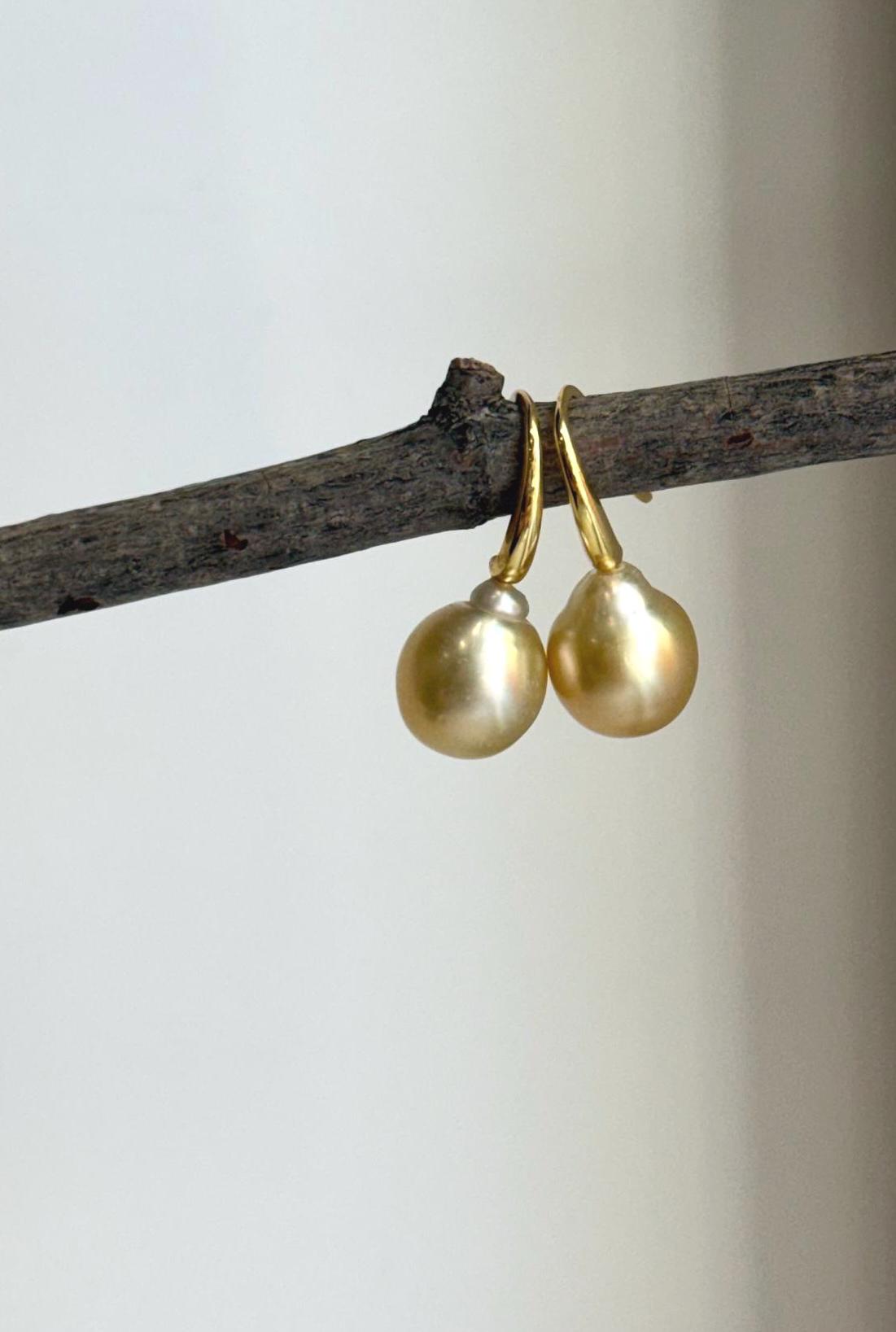 Golden South Sea pearl drop earrings with gold-tone S925 sterling silver hooks.