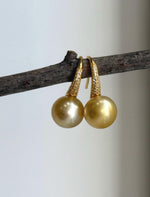 Rich golden South Sea pearls in a simple dangling earring design.