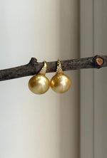 Golden South Sea pearl earrings with mirror luster and sculptural silver hooks.