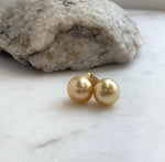 Rich golden South Sea pearls featured in a short drop earring design.