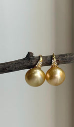 Mirror-luster South Sea pearl drop earrings with warm deep gold coloring.