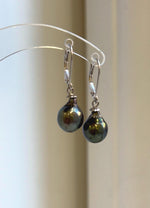 Peacock green Tahitian pearl earrings with S925 sterling silver leverback hooks.