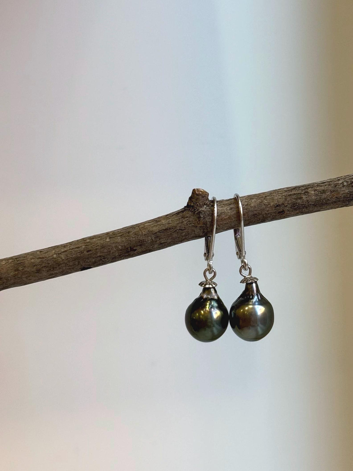 Peacock green saltwater pearl earrings with rich coloring and brilliant luster.