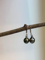 Peacock green saltwater pearl earrings with rich coloring and brilliant luster.