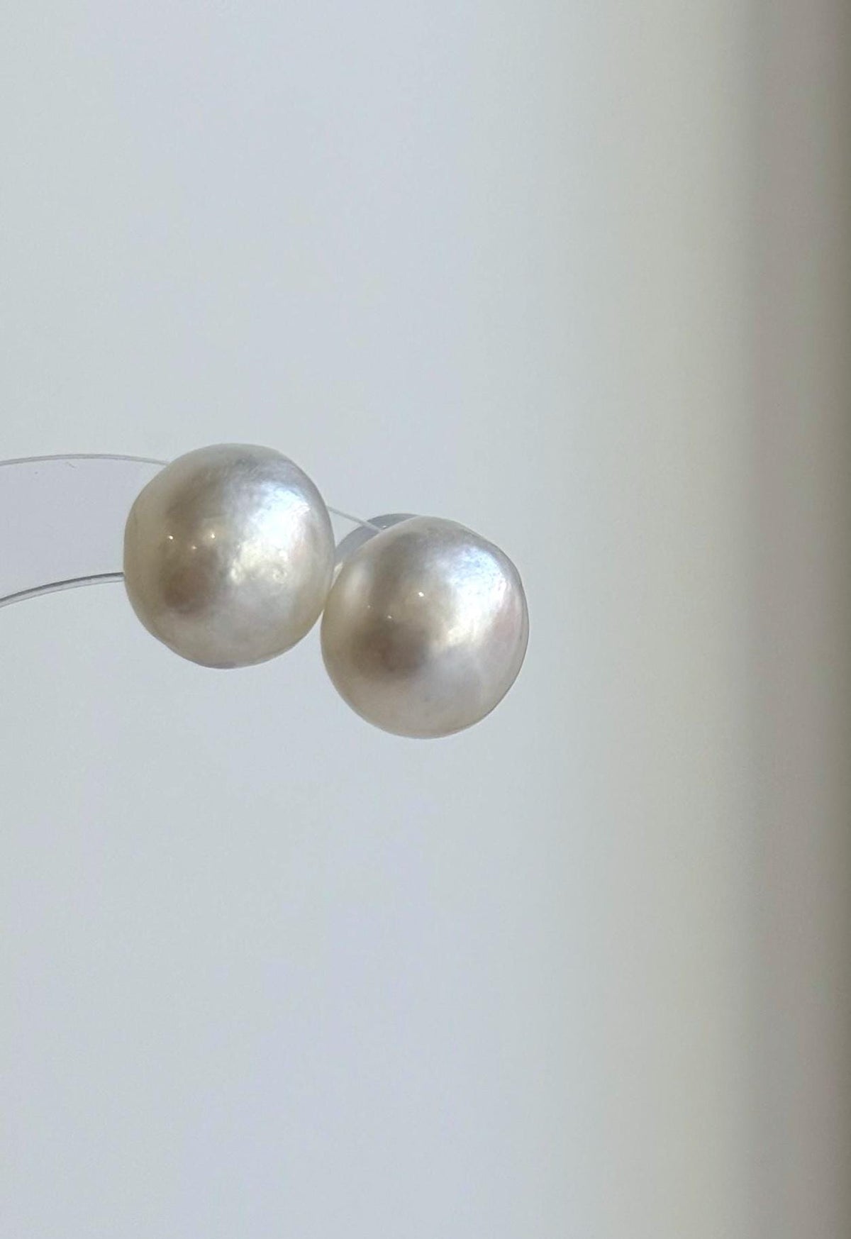 White South Sea pearl studs with a mirror-like sheen and simple silver settings.