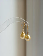 11.6mm golden South Sea pearl hook earrings in S925 sterling silver.