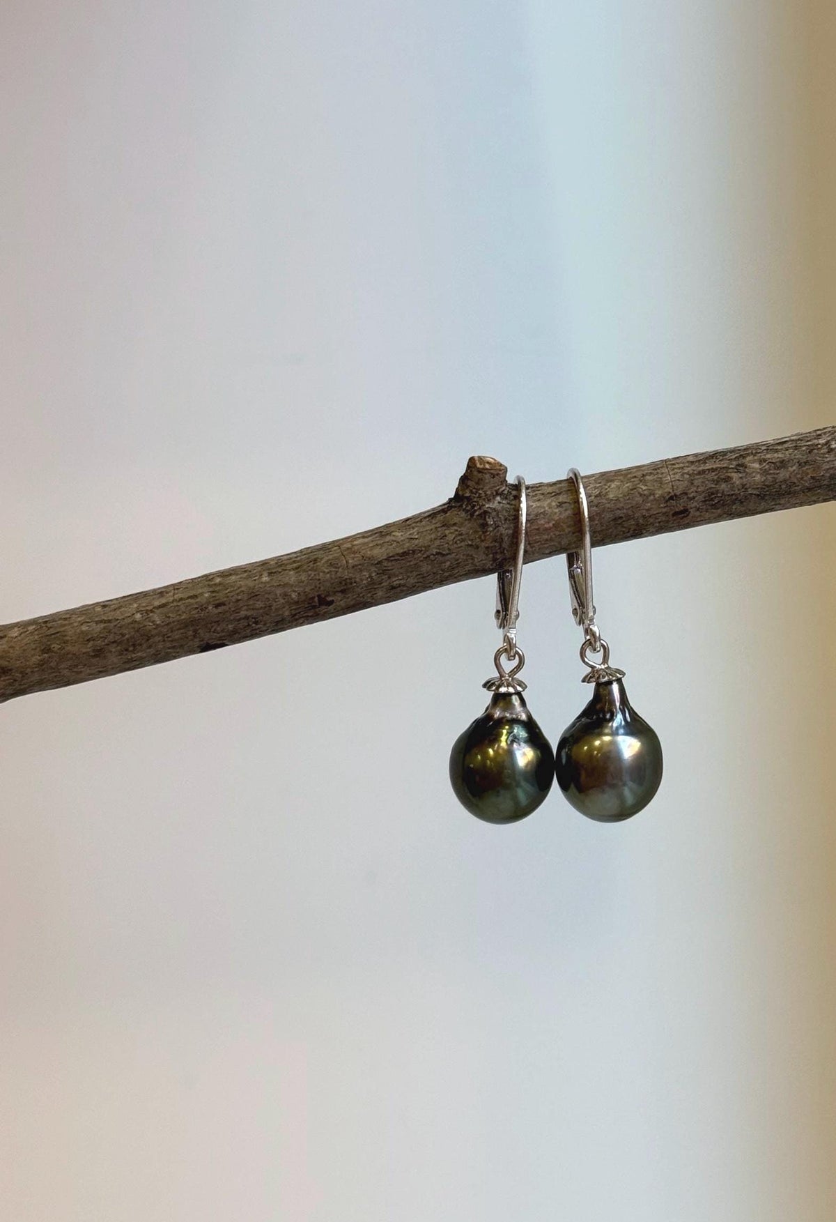 Tahitian pearl drop earrings featuring peacock green pearls and sterling silver hooks.