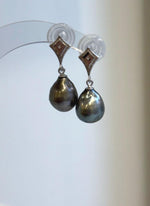 Dark Tahitian pearl earrings with bronze highlights and blue-green reflections.