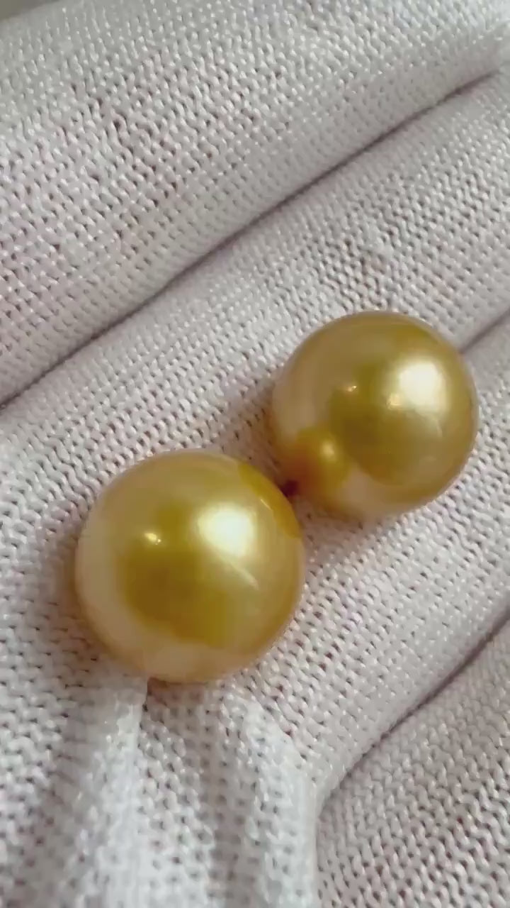 Elly’s Sold out!! WL 12.7mm South Sea Deep Golden Pearl. 18K Yellow gold thick Studs, cad429.99